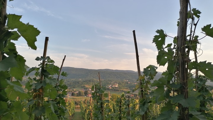 prognoza ljeto (3).jpg