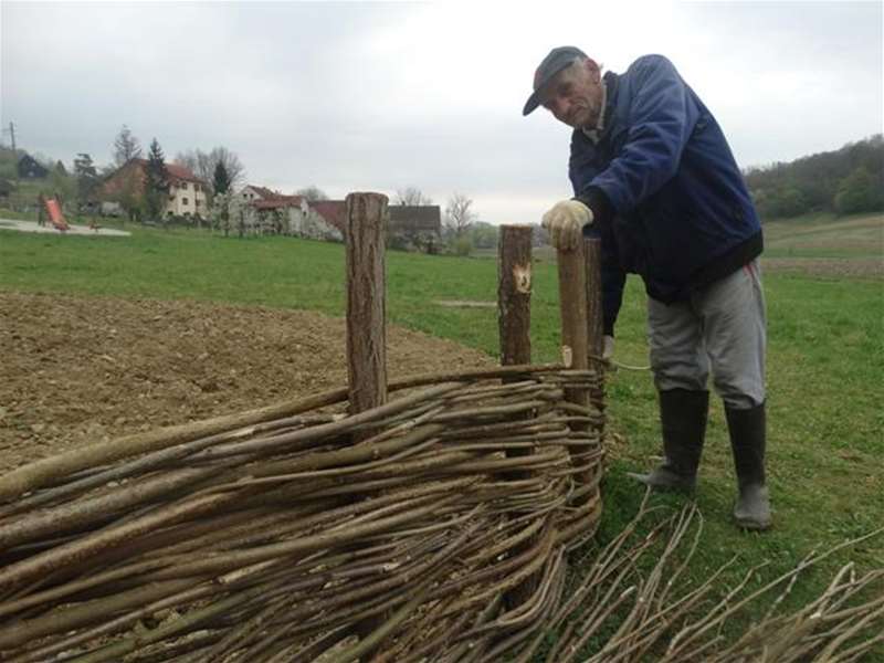 ograda o šiblja.jpg