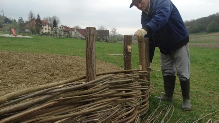 ograda o šiblja.jpg