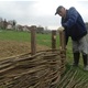 Svestrani Pristivčan izrađuje ograde od šiba kakve su se radile u doba djedova i baka