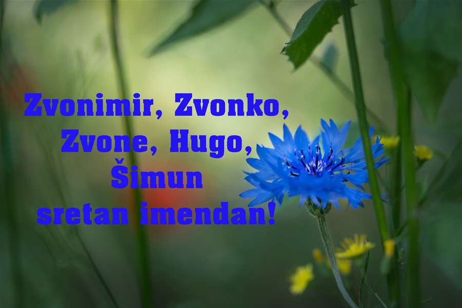 -Zvonimir, Zvonko