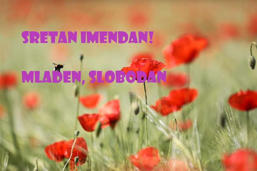 mladen-