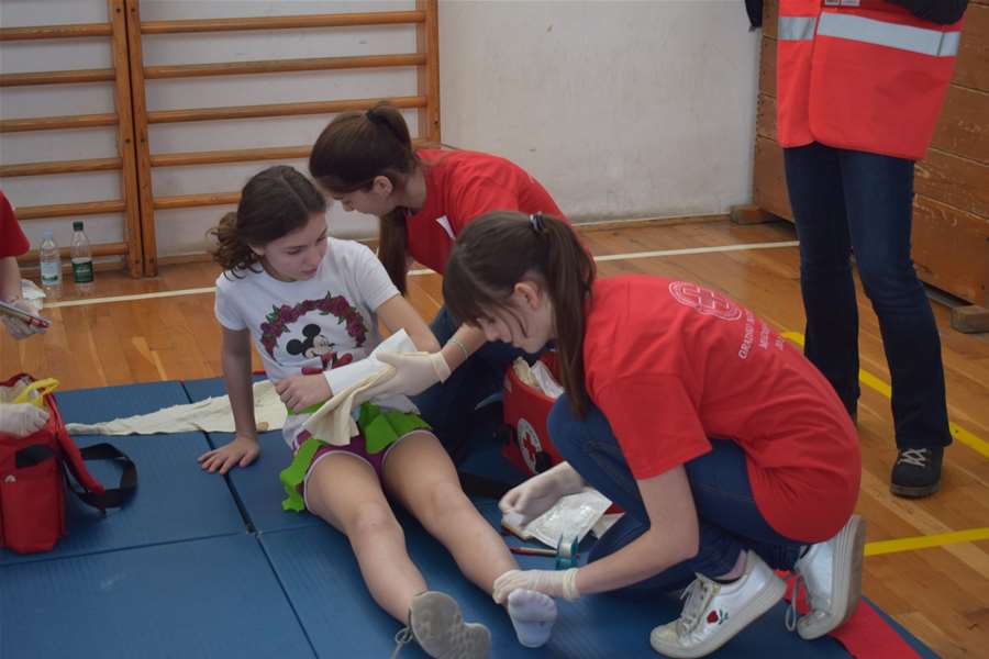 SŠ Oroslavje i OŠ Marija Bistrica na međužupanijsko natjecanje 7.JPG