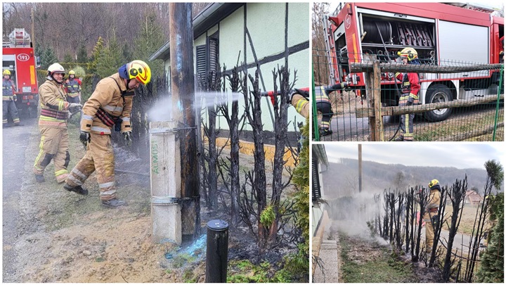 FotoJet - 2024-01-12T112054.246.jpg