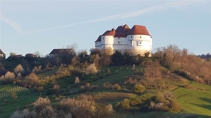 dvor veliki tabor 1.jpg