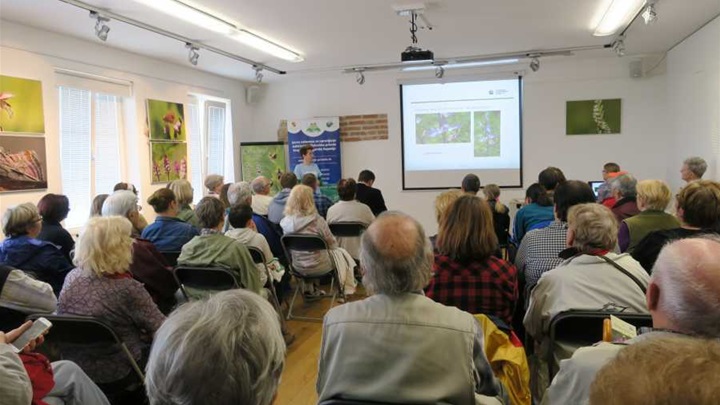 DANI ORHIDEJA SMANJENO 5.jpg