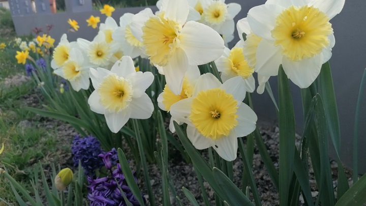 prognoza proljeće.jpg