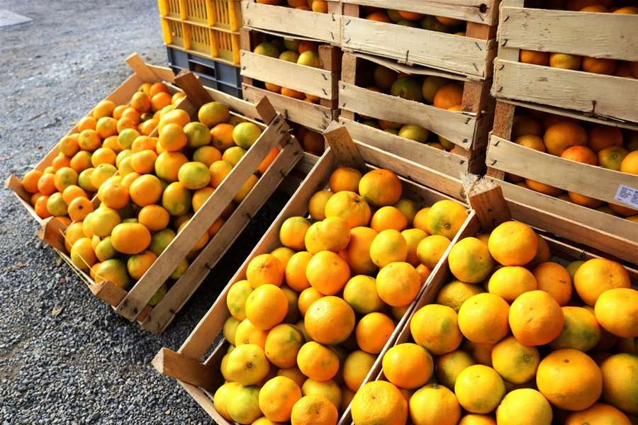 mandarine 2