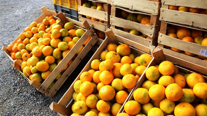 mandarine 2