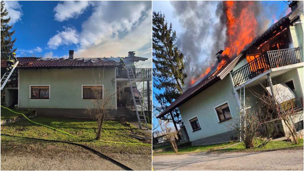 FotoJet - 2024-12-27T140234.843.jpg