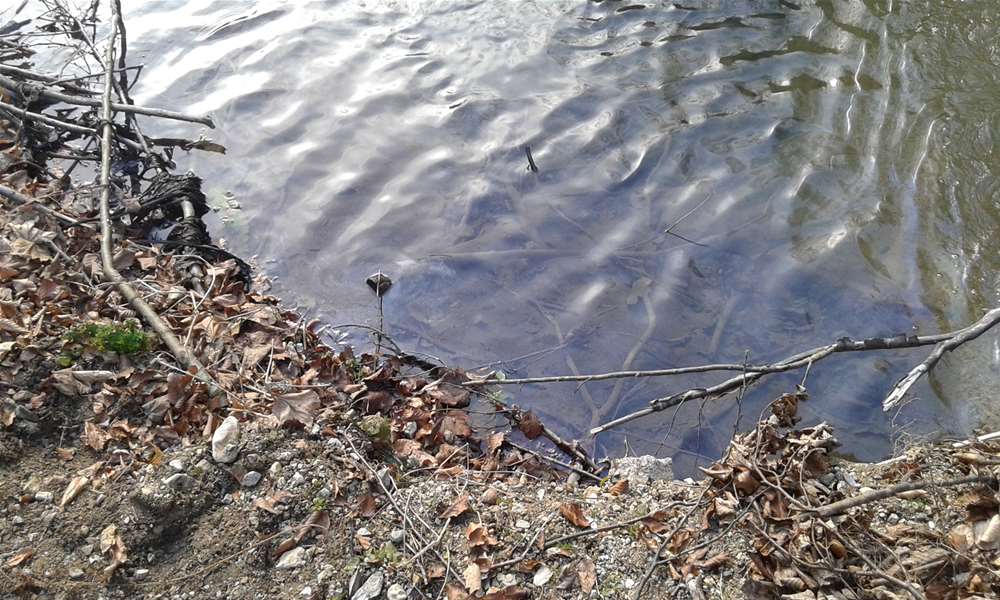 Površina vodotoka na kojoj je utvrđeno kako plivaju naftne mrlje u tankom sloju