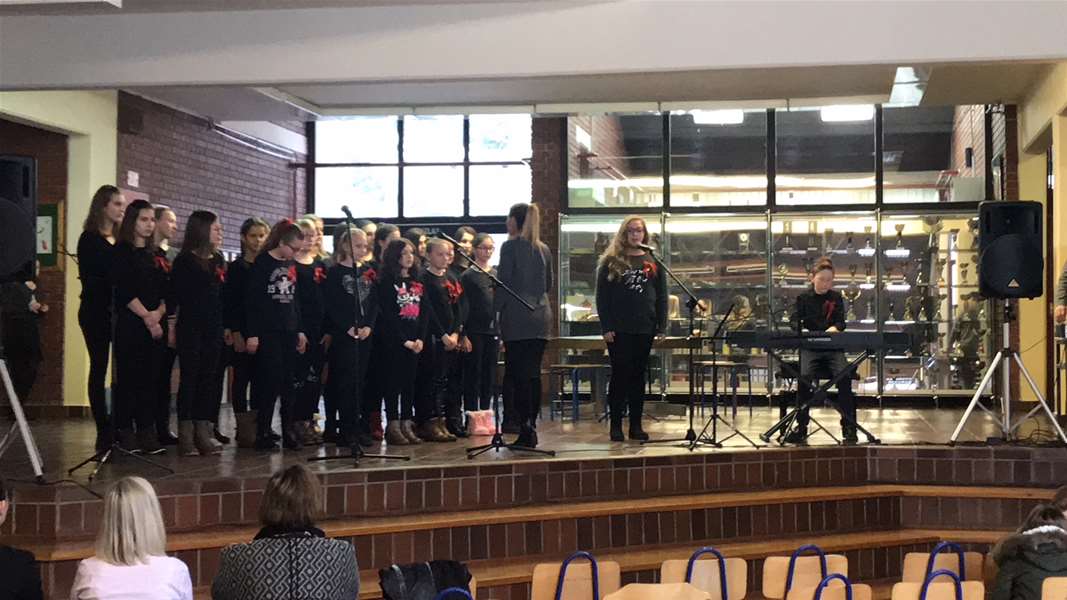 glavna olimpijada pregrada.JPG