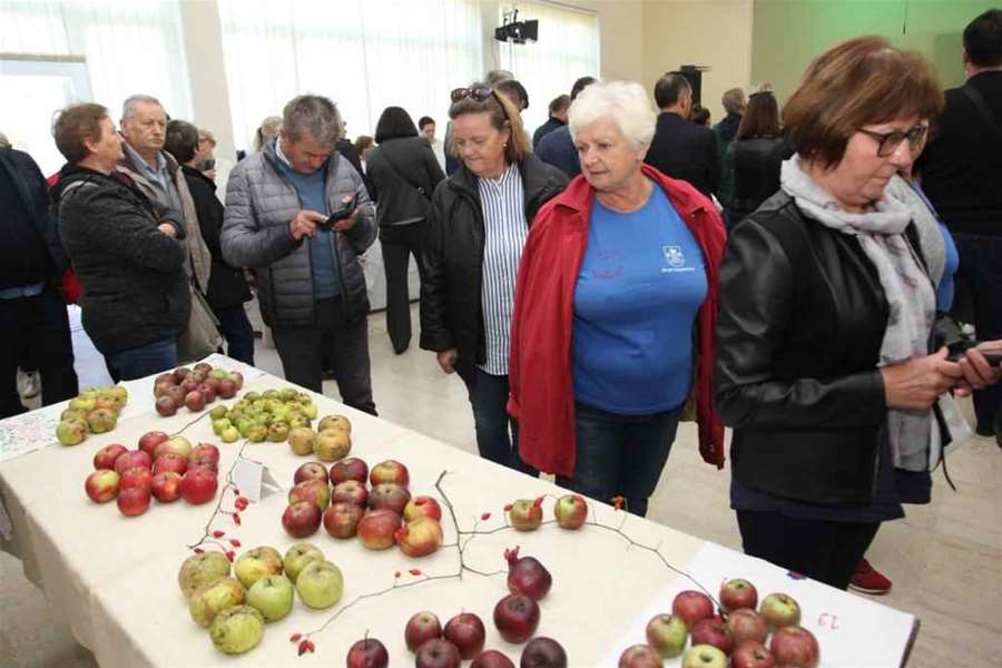 stubica jabuke 9 gl.jpg