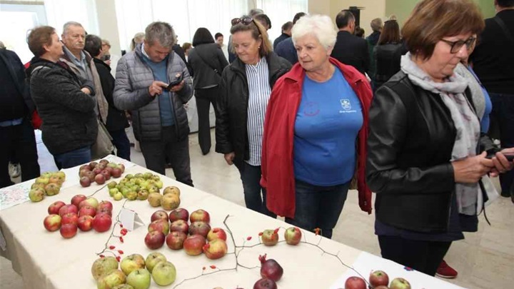 stubica jabuke 9 gl.jpg