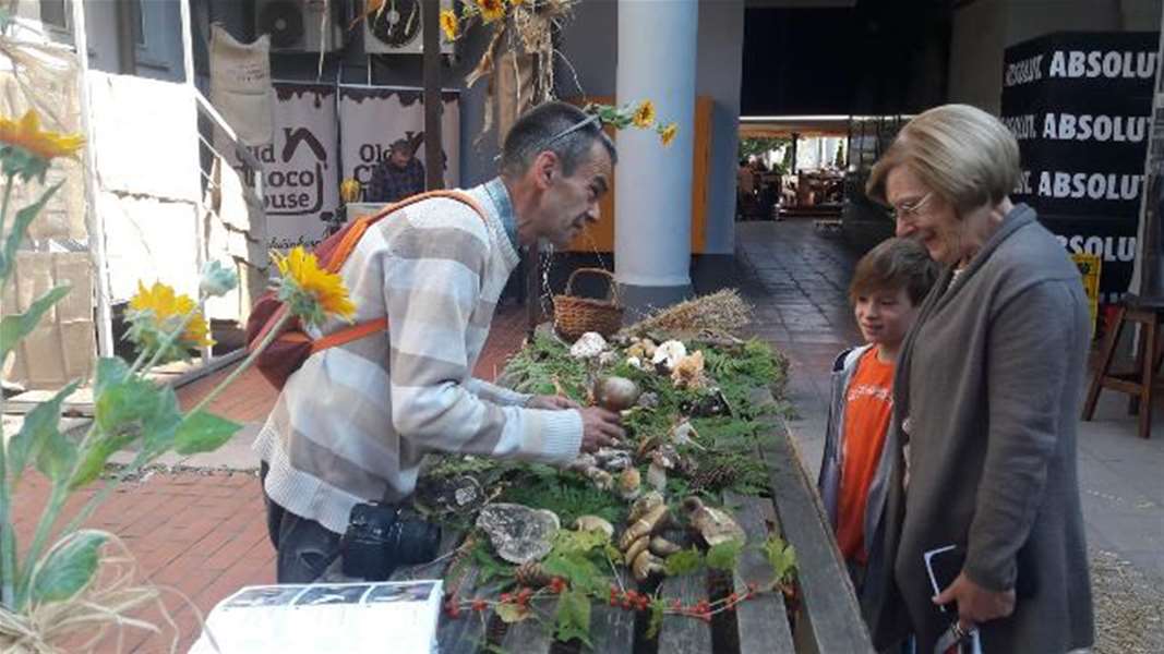 Vino, kesten, gljiva2