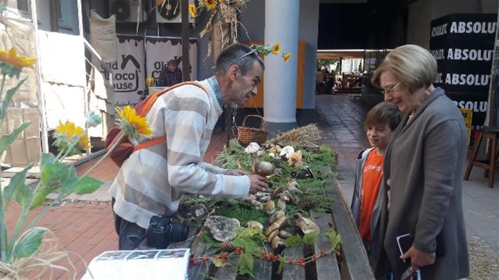 Vino, kesten, gljiva2