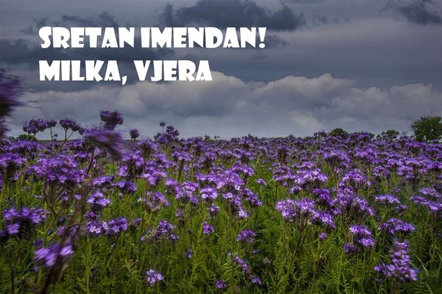 milka .jpg