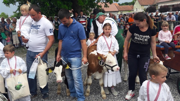 Bambino kup - mali zagorski uzgajivači