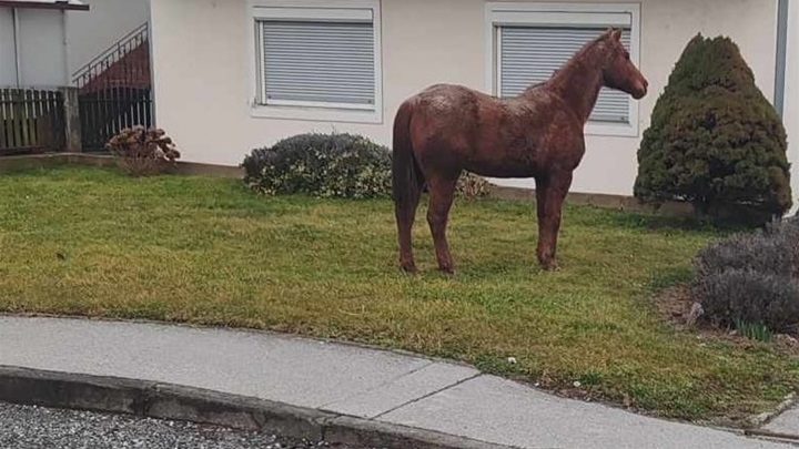 KONJ - POLICIJA ZAUSTALJA KZZ
