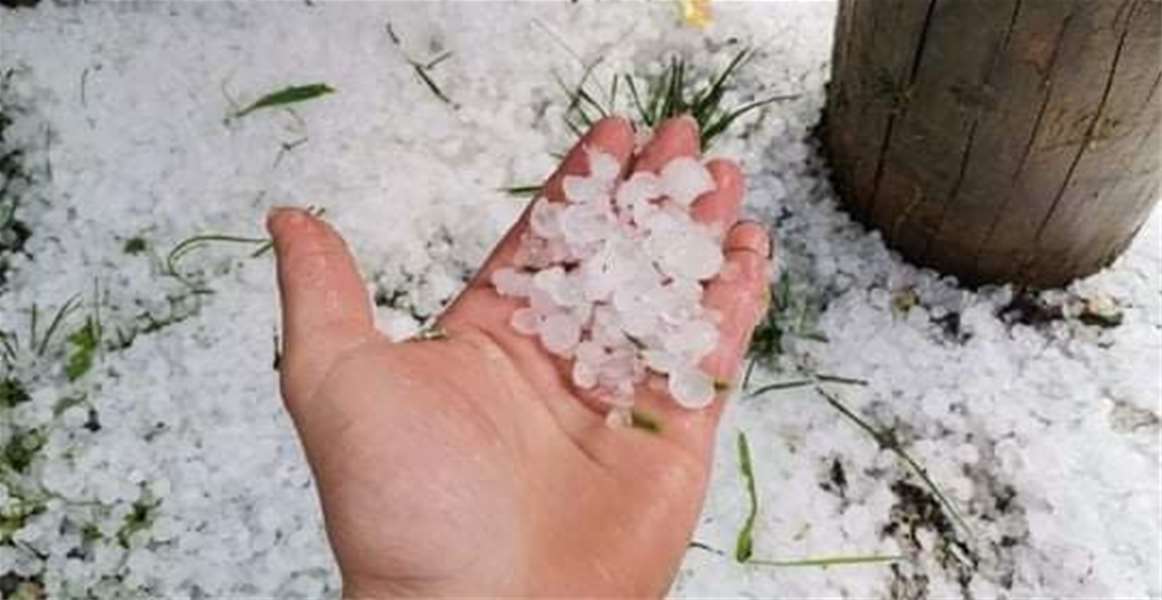 tuča