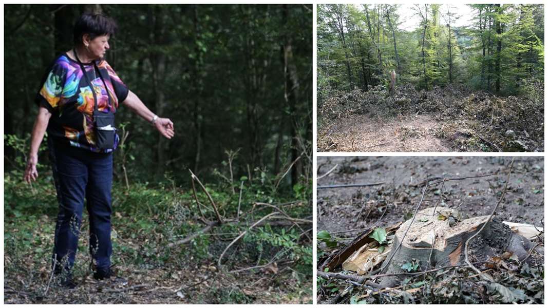 FotoJet - 2023-09-15T102720.393.jpg