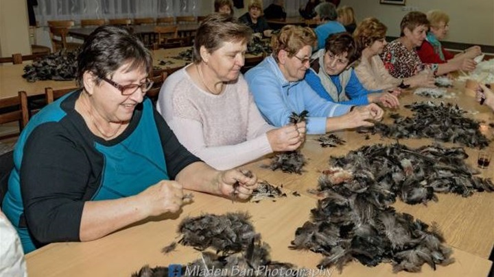 foto: Mladen Ban Photography