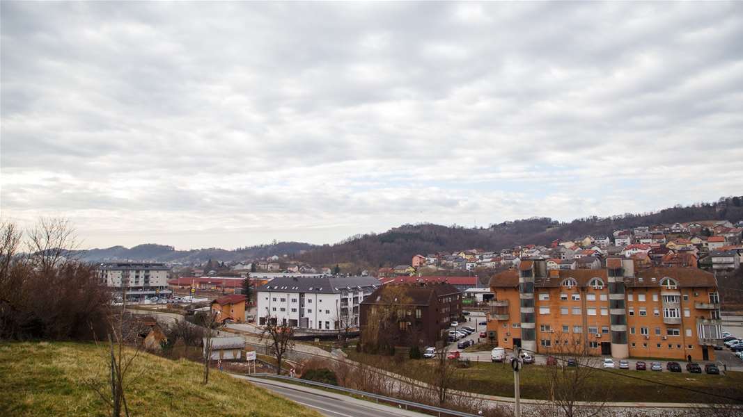 IMG_6595.jpg
