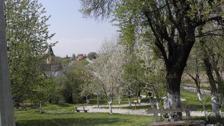 radobojski trnac_Proljeće u Radobojskom trnacu.JPG