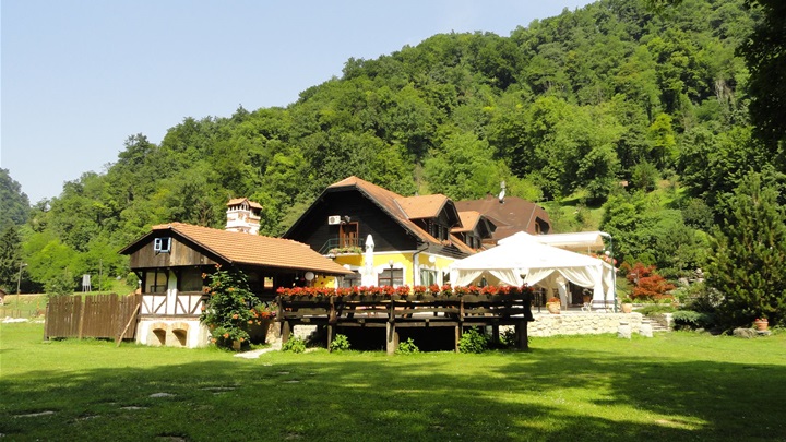 zelenjak ventek facebook.jpg