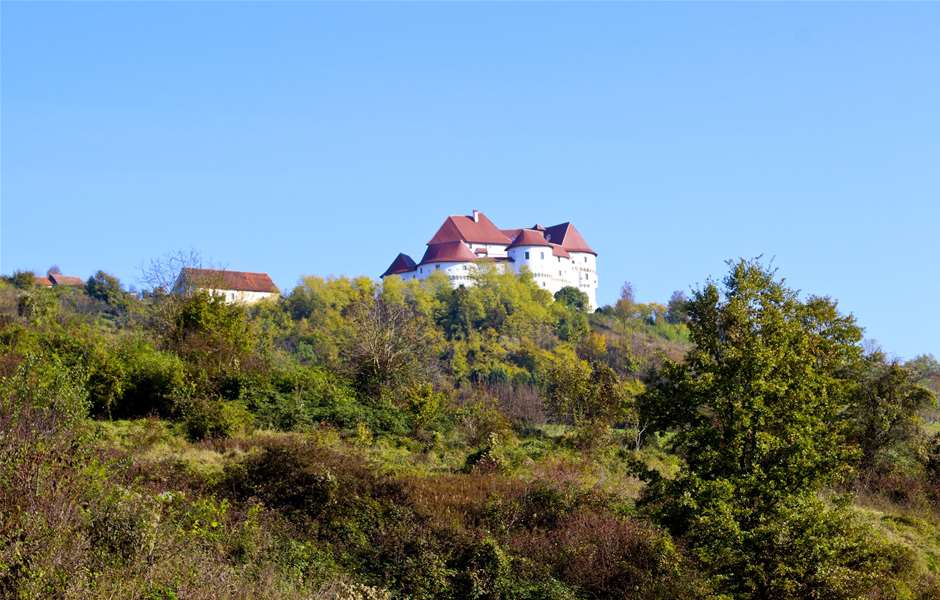 dvor veliki tabor (2).jpg