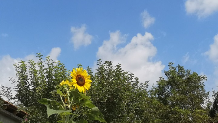 Ljeto prognoza sunce sunčano