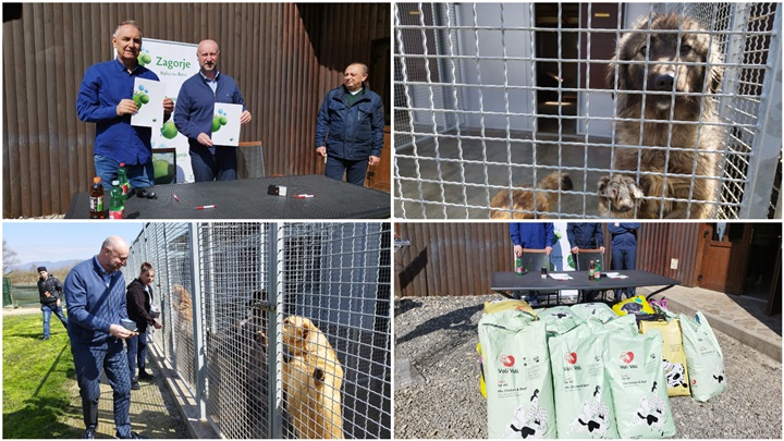 FotoJet - 2025-04-04T122441.336.jpg