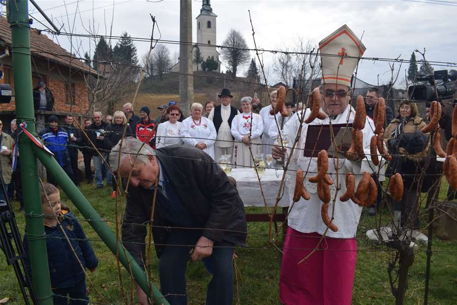 Vincekovo na Vinskom Vrhu2.JPG