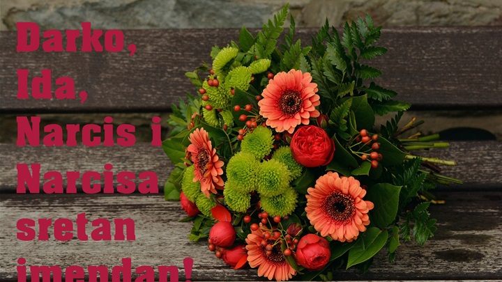 -Darko, Ida, Narcis, Narcisa