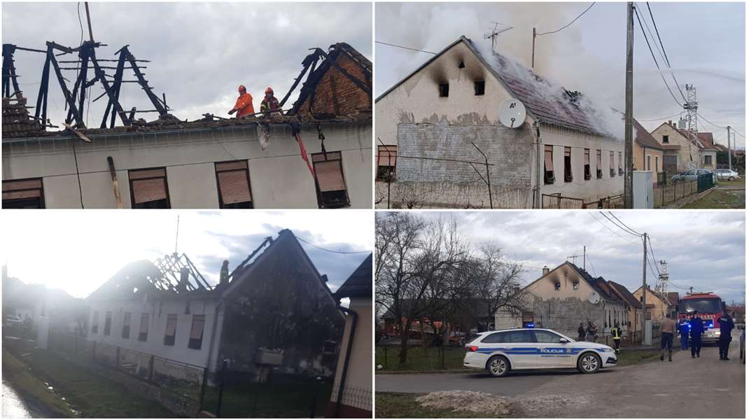 FotoJet - 2024-01-25T094829.620.jpg