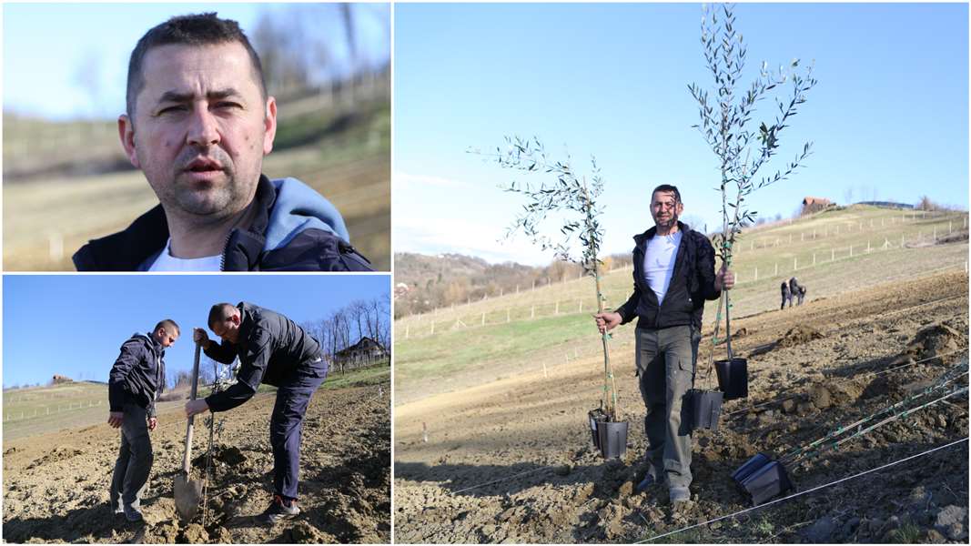 FotoJet - 2023-03-21T092449.451.jpg