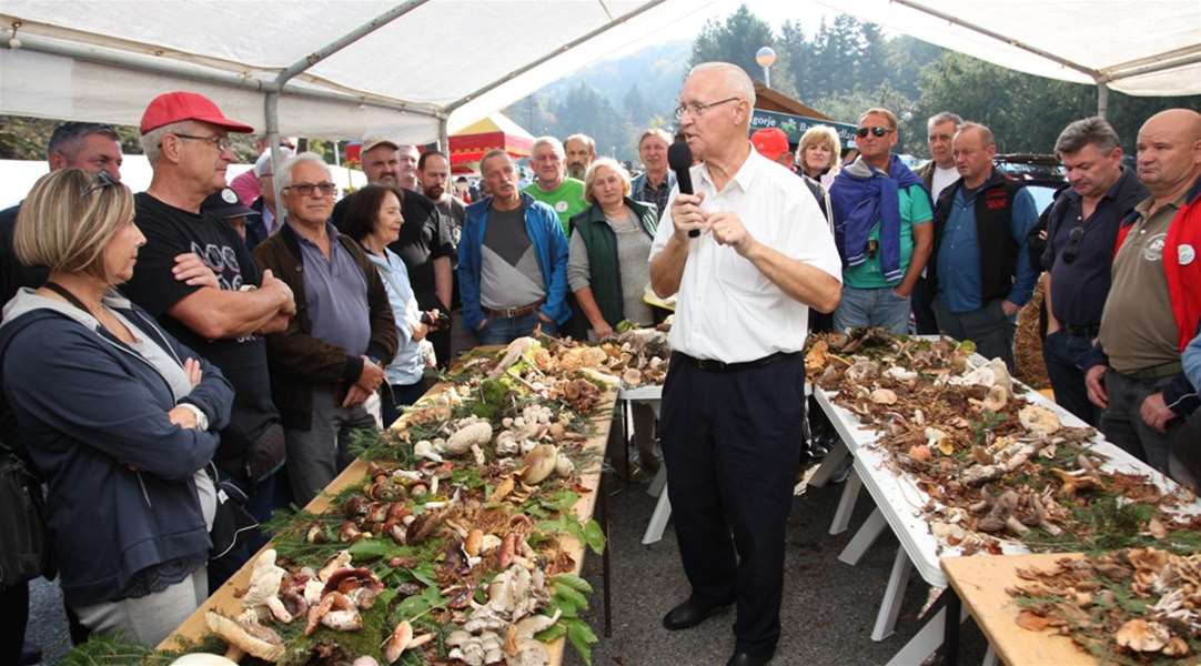 gljivarenje stubaki 15.jpg