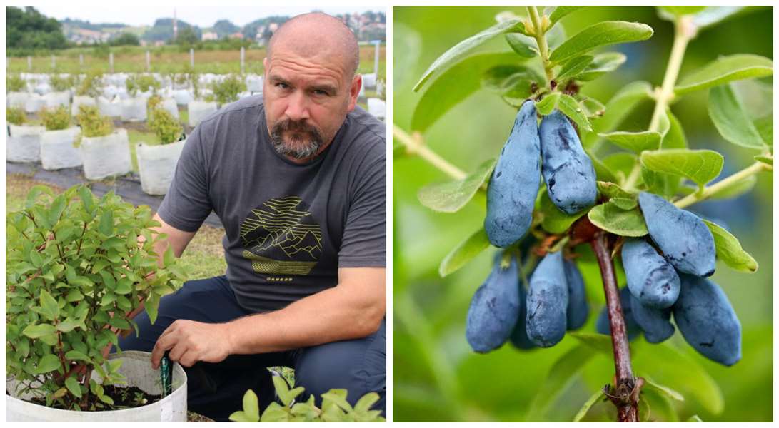 foto: I. Podolšak/D. Škreblin