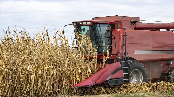 red-harvesting-machine-corn-farm.jpg