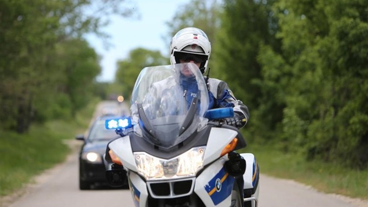 motorist-