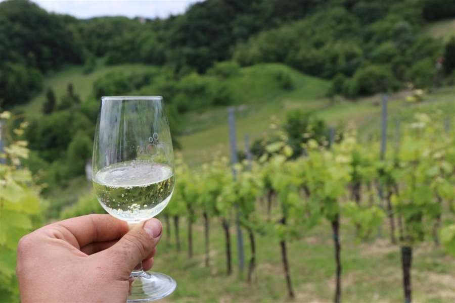 pjenušac vino ilustracija.jpeg