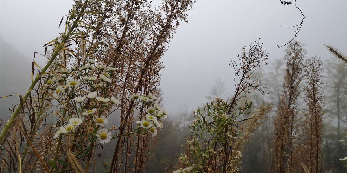 vrijeme jesen magla (6).jpg