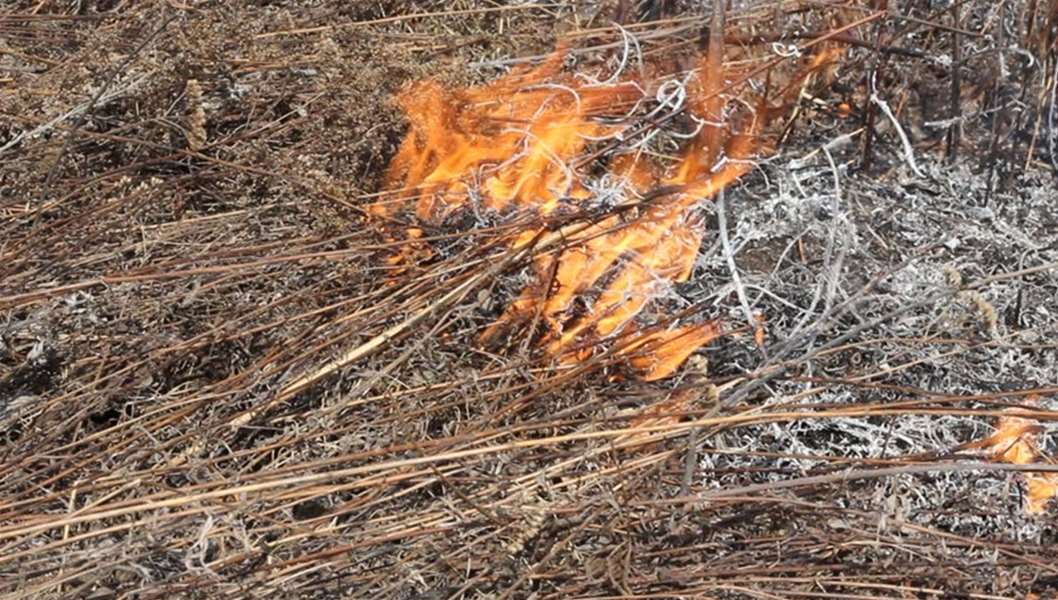 požar na otvorenom.jpg