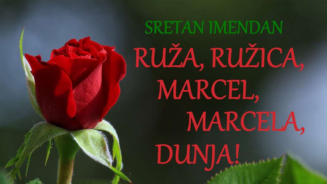 imendan ruža marcel