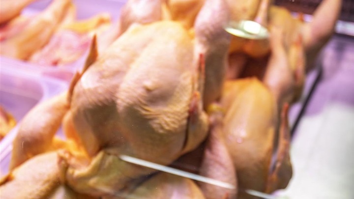 piletina Pixsell.jpg