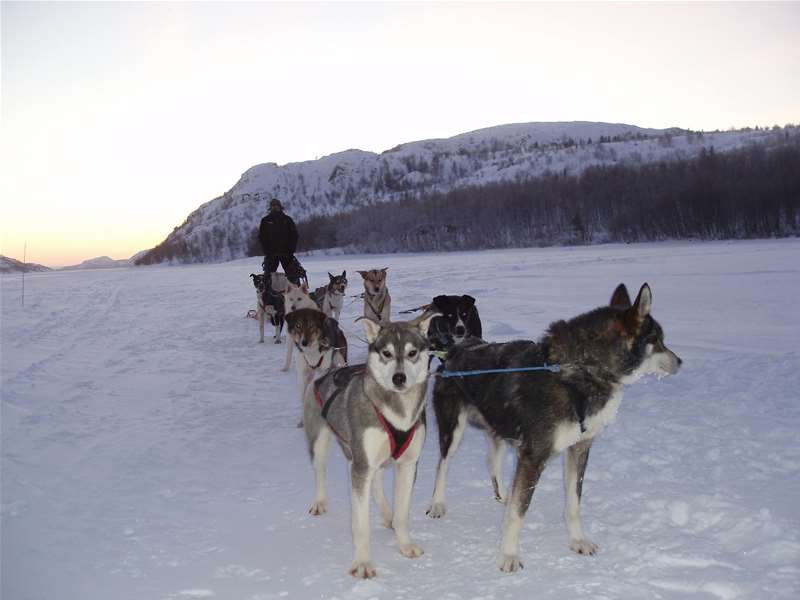 igor hustić glavna.jpg