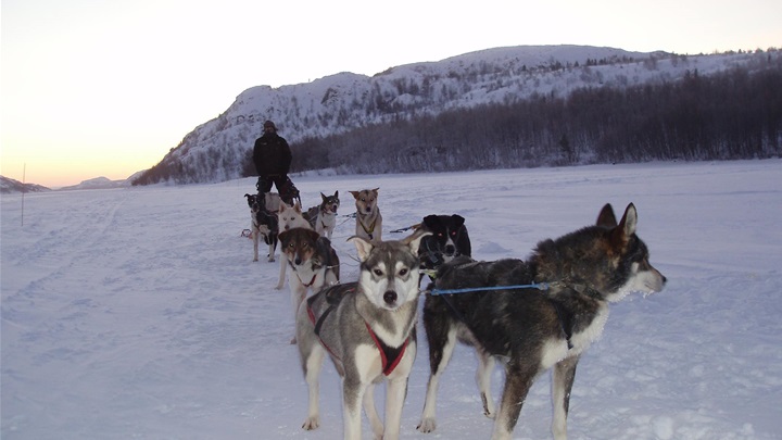 igor hustić glavna.jpg