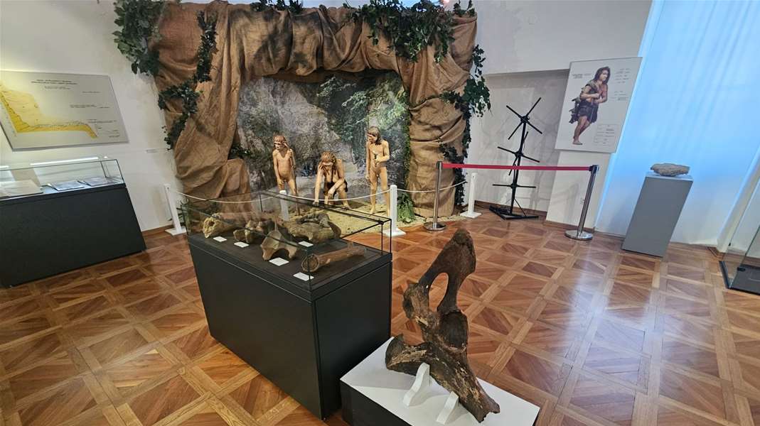 izložba (1).jpg