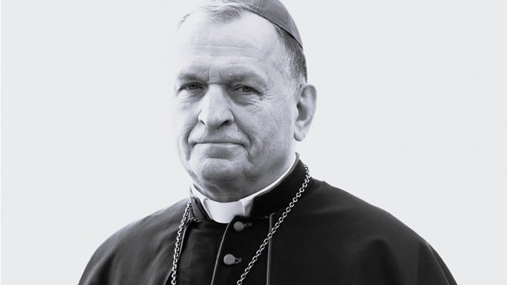 pomoćni biskup u miru mons. Valentin Pozaic.jpg