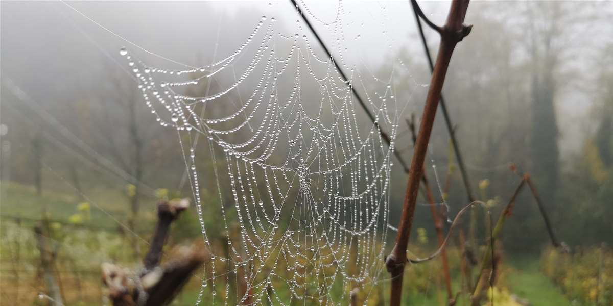 vrijeme jesen magla (1).jpg